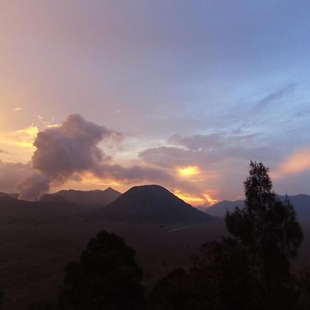 Bromo Holiday Guest House Ngadisari Exterior foto