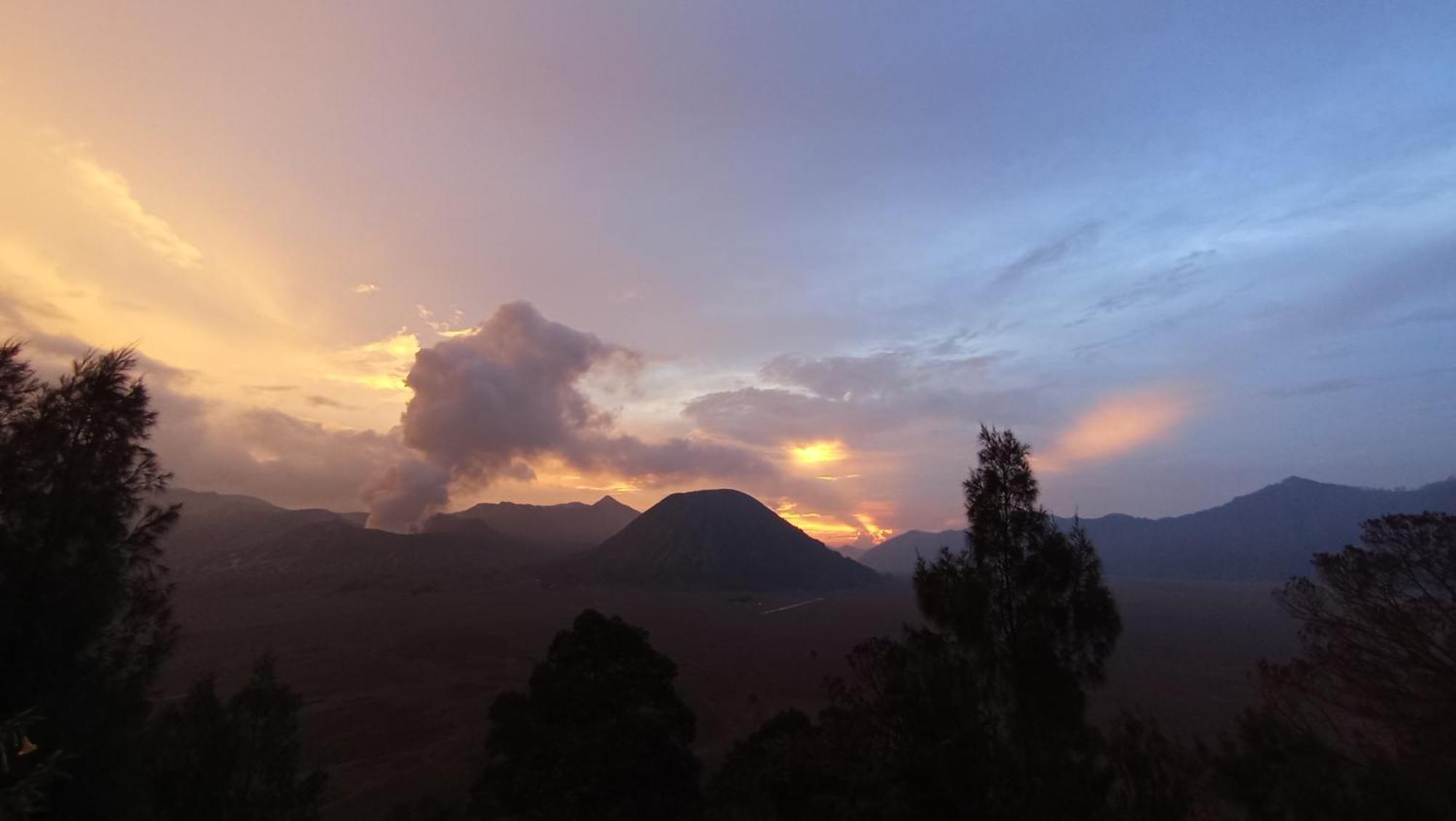 Bromo Holiday Guest House Ngadisari Exterior foto