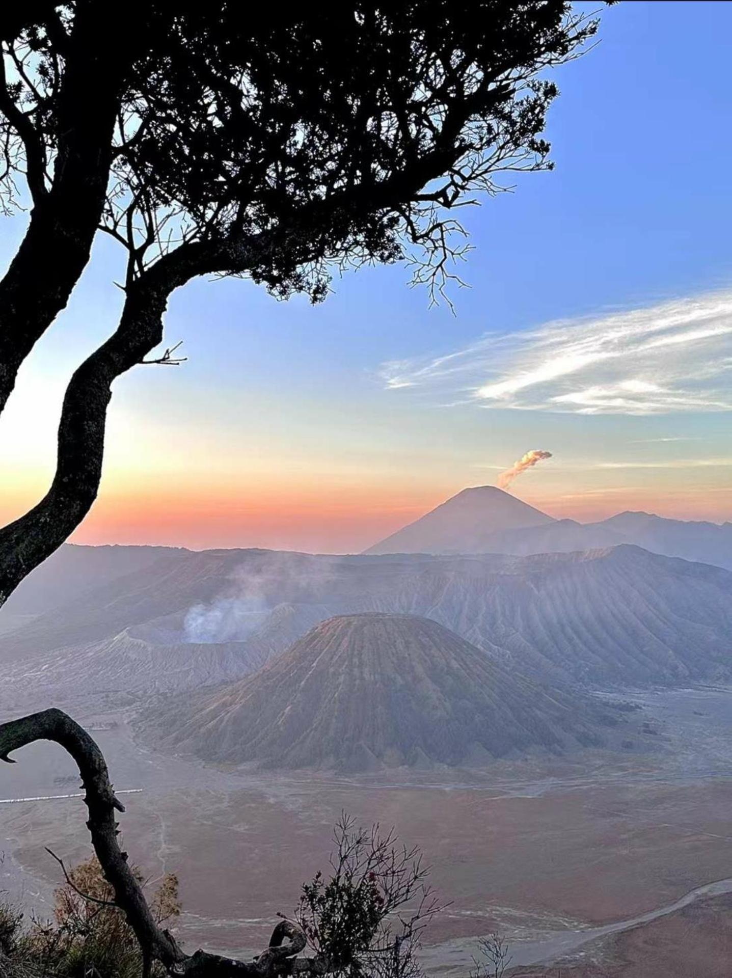 Bromo Holiday Guest House Ngadisari Exterior foto